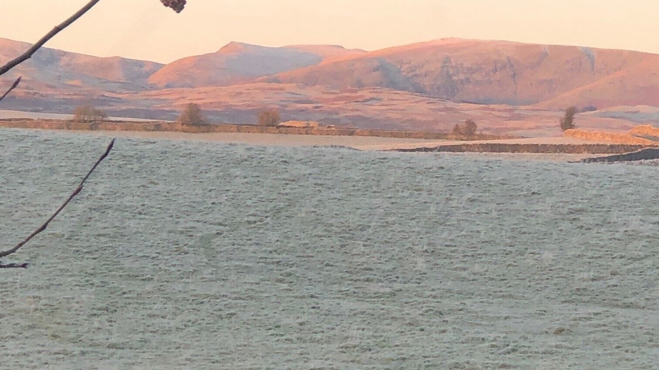 Photo of Others in Shap