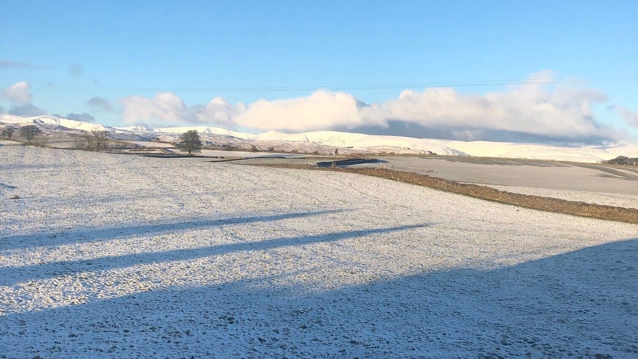 Photo of Others in Shap