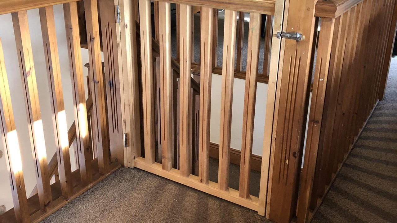 Photo of Others in Shap