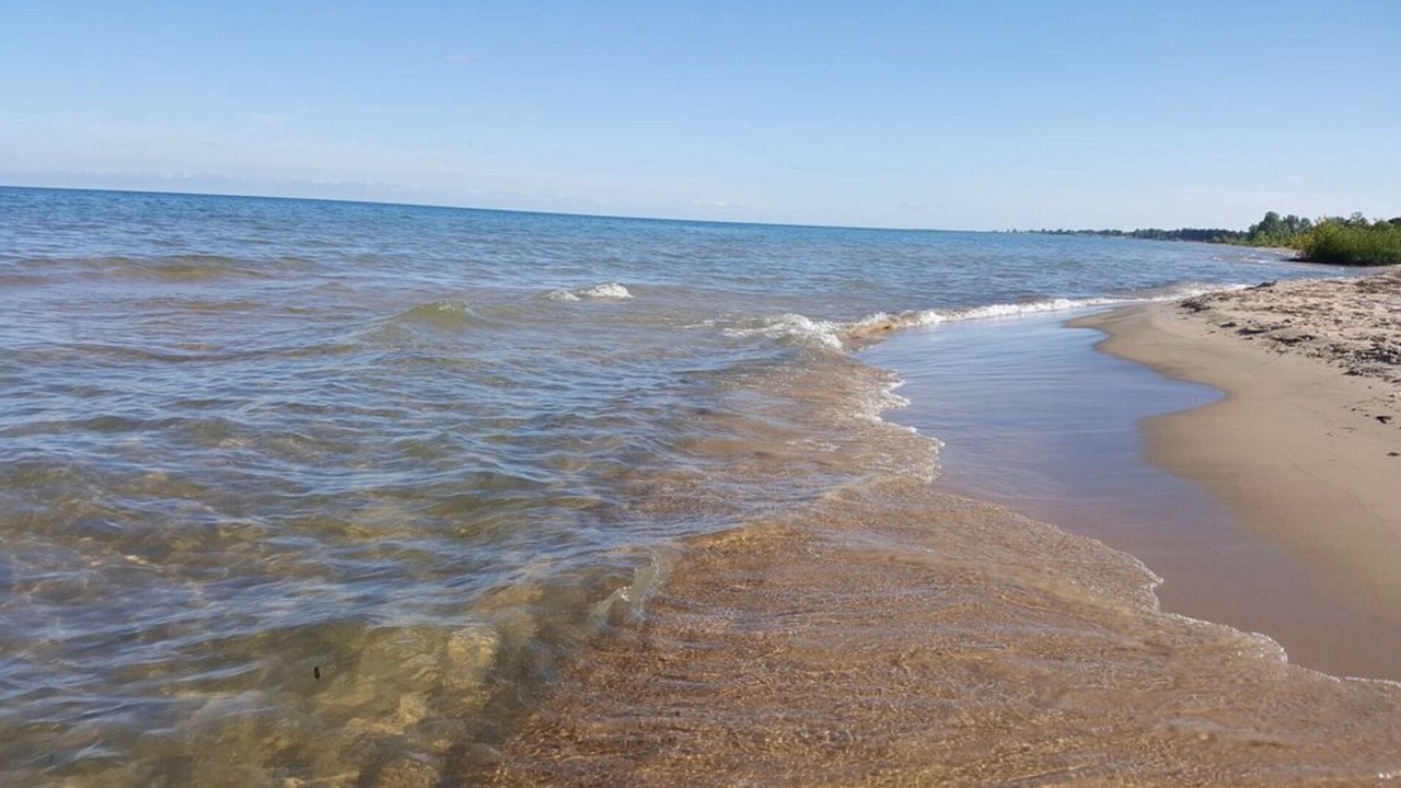 Photo of Others in Oscoda