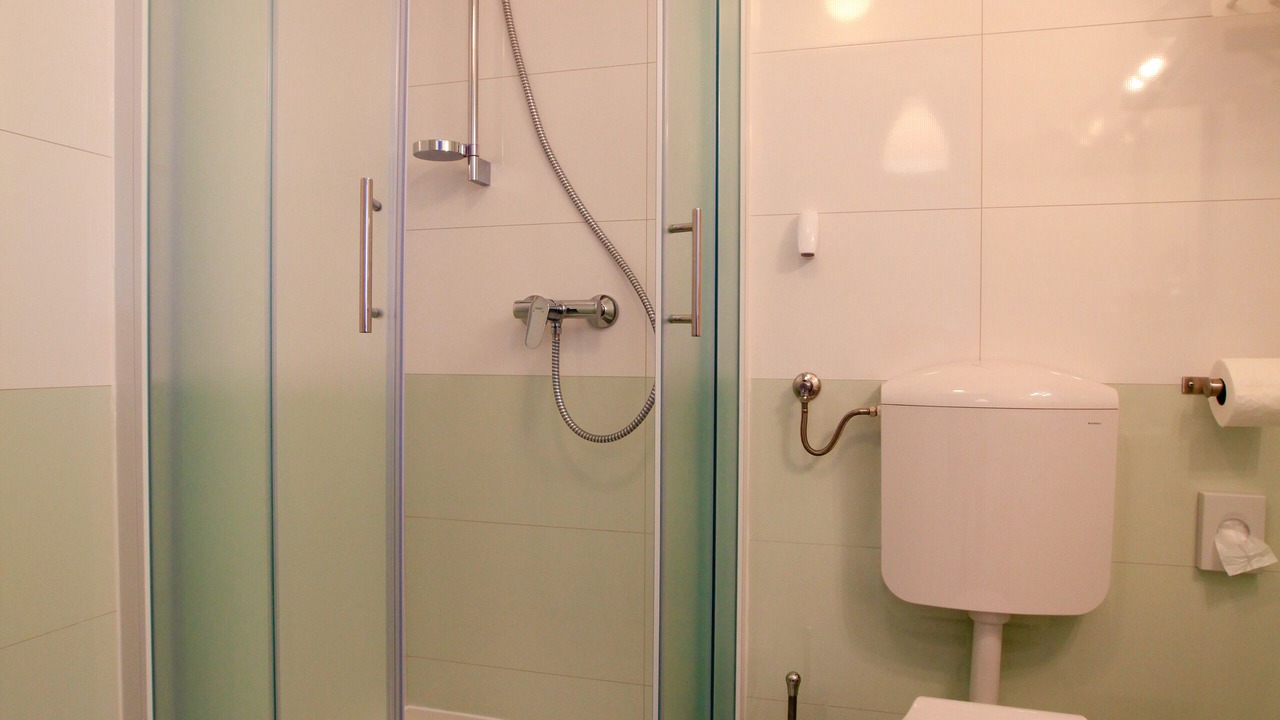 Photo of Bathroom in Pula