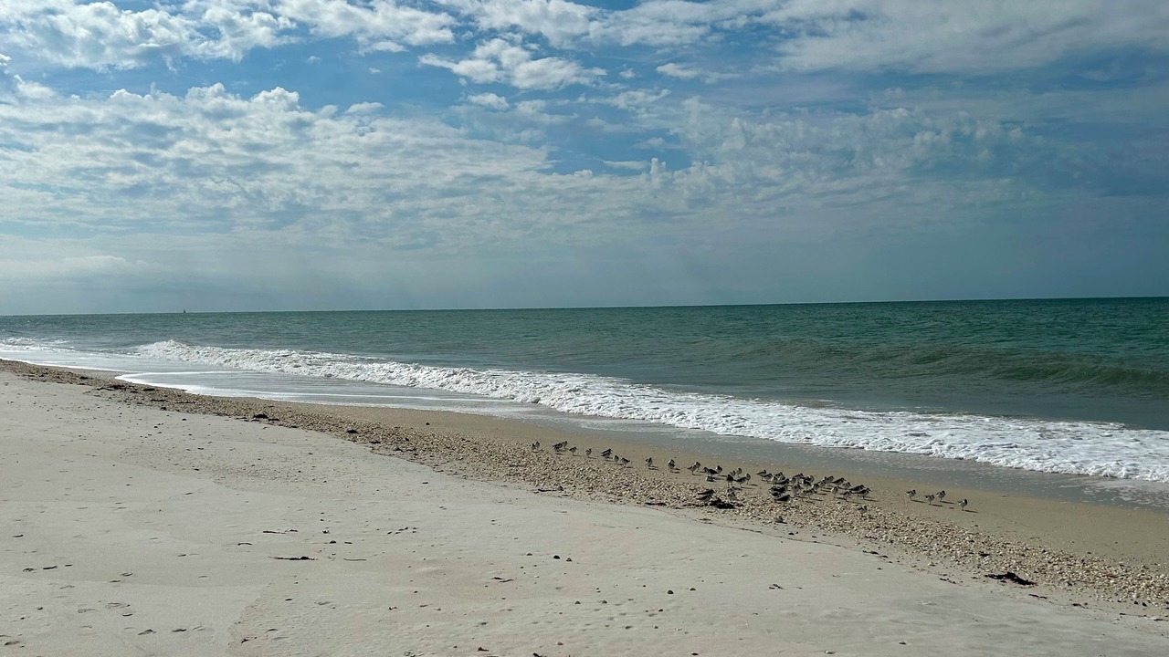 Photo of Others in East Naples