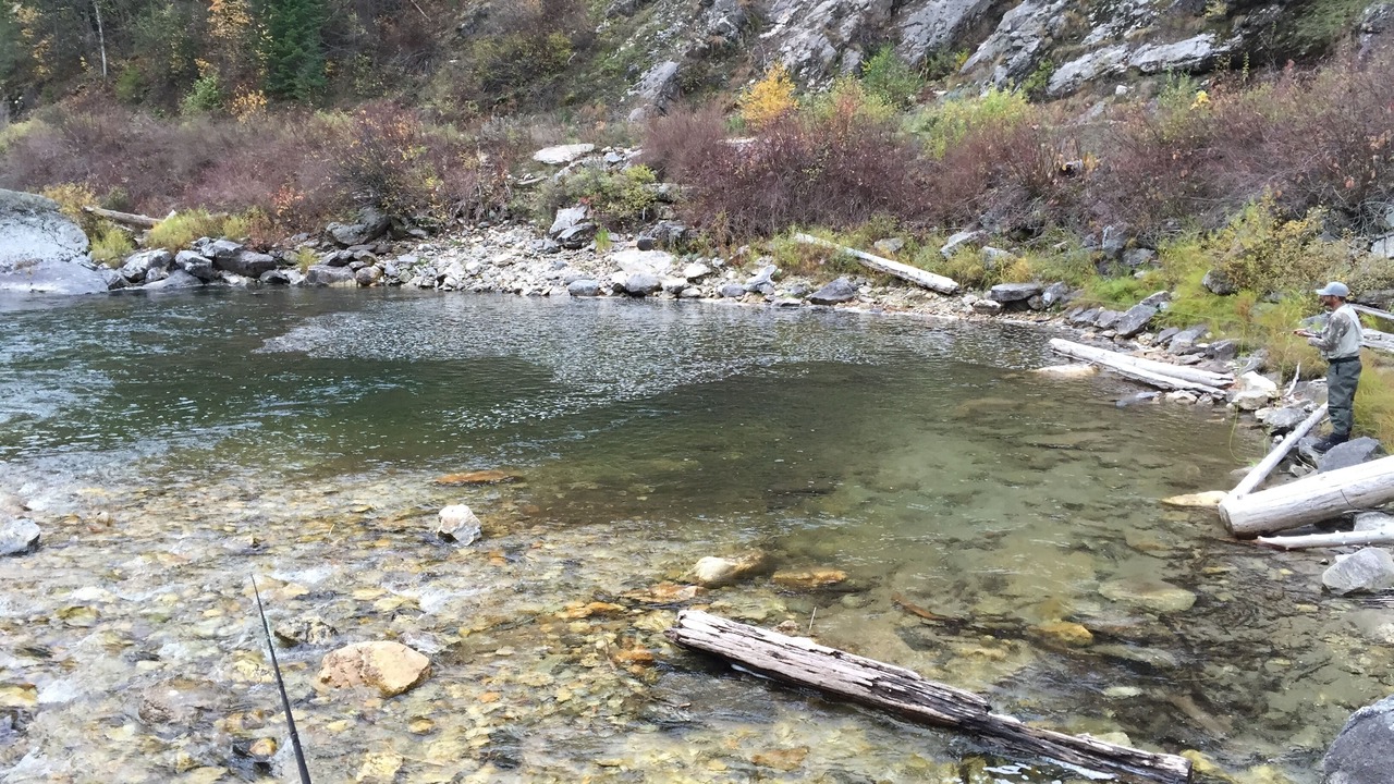 Photo of Others in Ahsahka