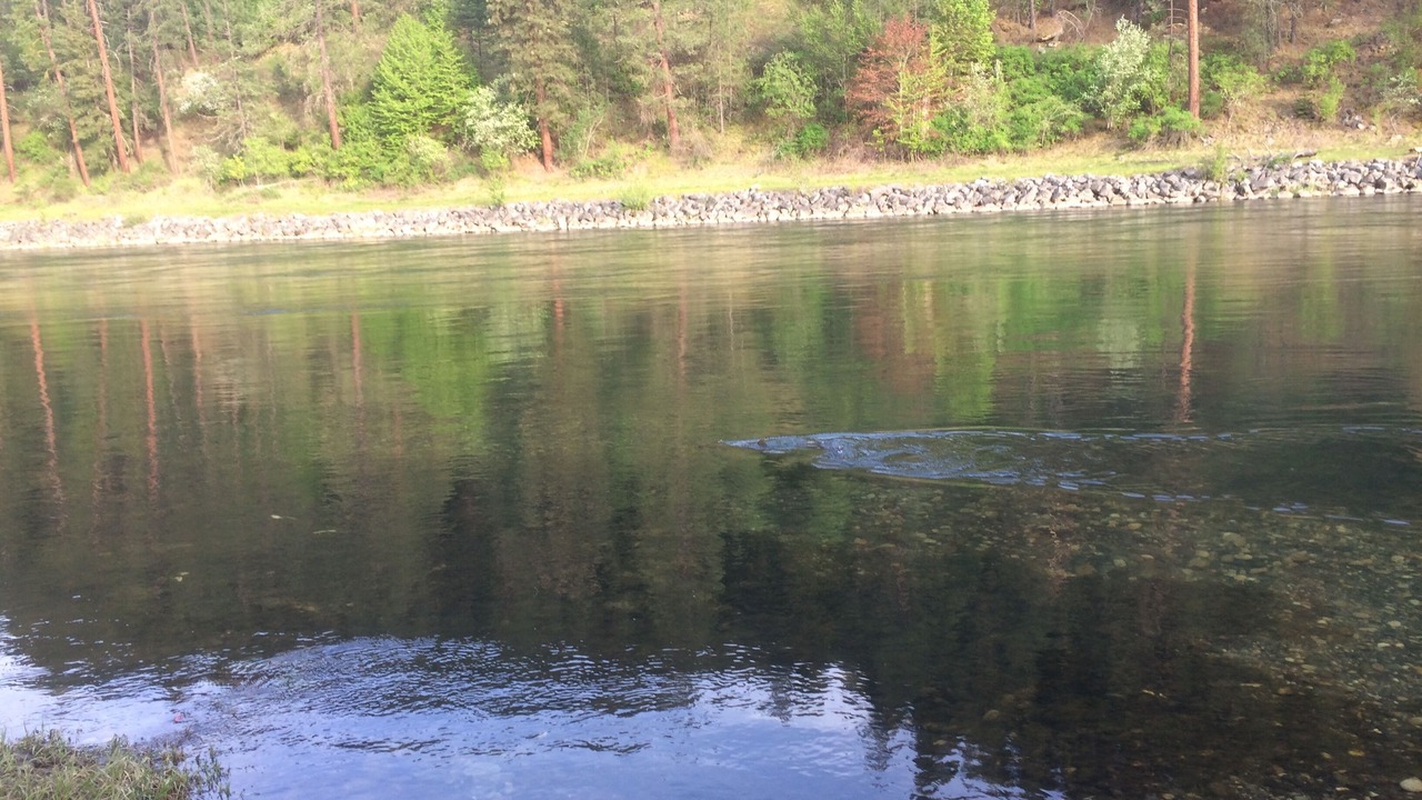 Photo of Others in Ahsahka