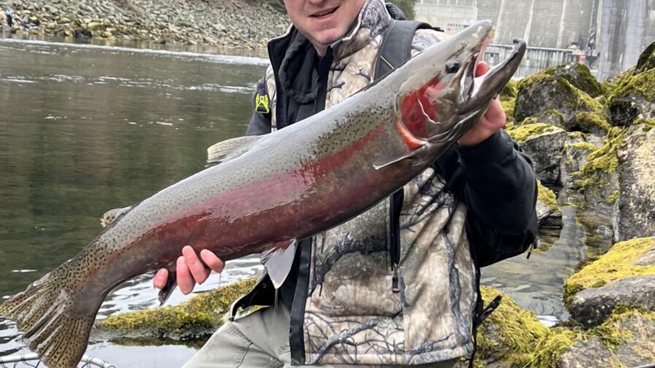 Photo of Others in Ahsahka