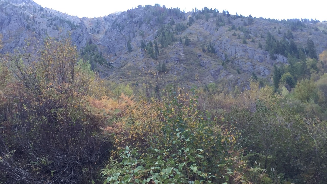 Photo of Others in Ahsahka