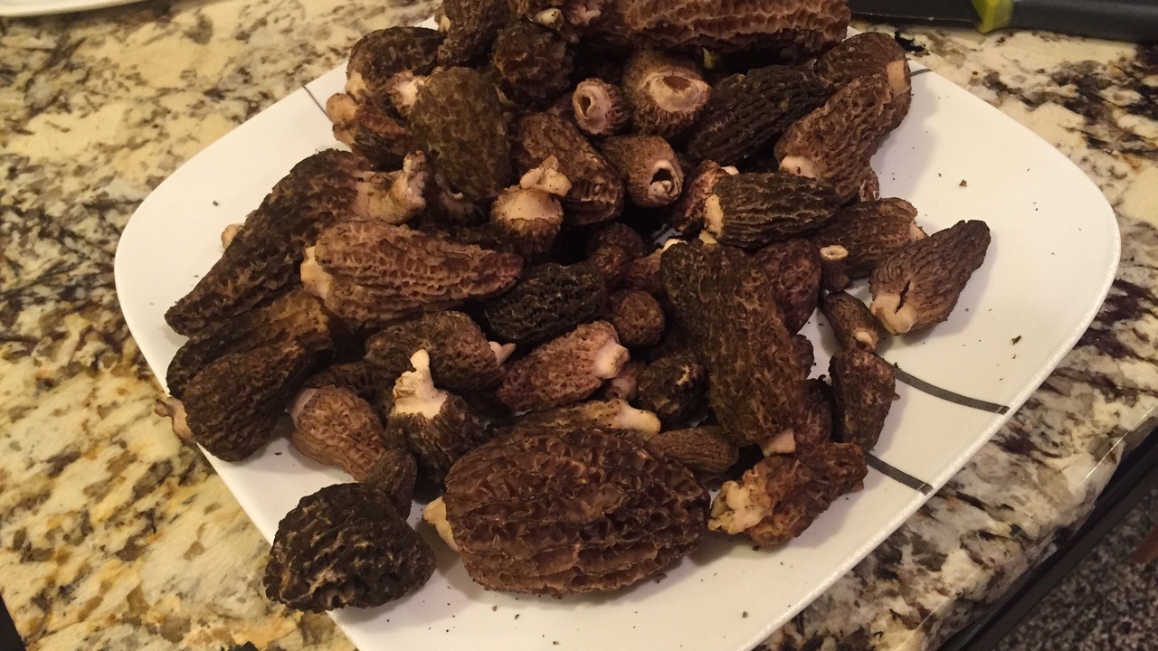 Photo of Others in Ahsahka