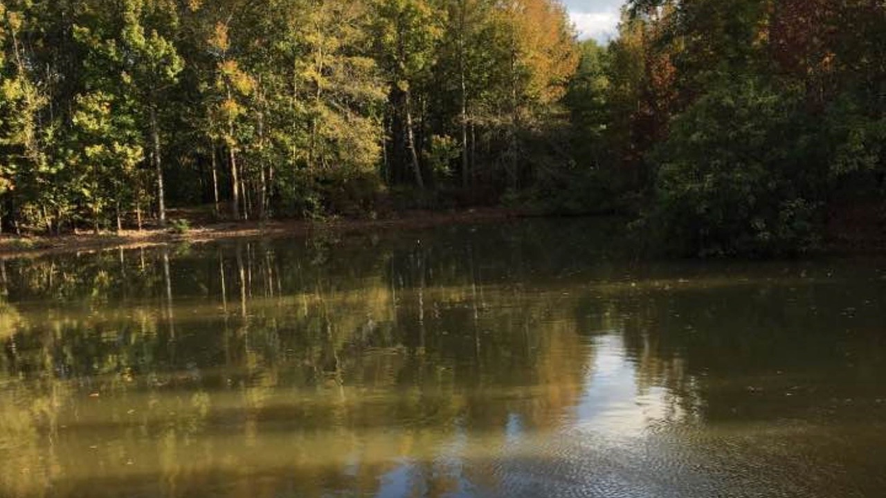 Photo of Outdoor in Grand Saline