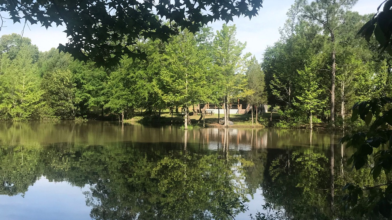 Photo of Outdoor in Grand Saline