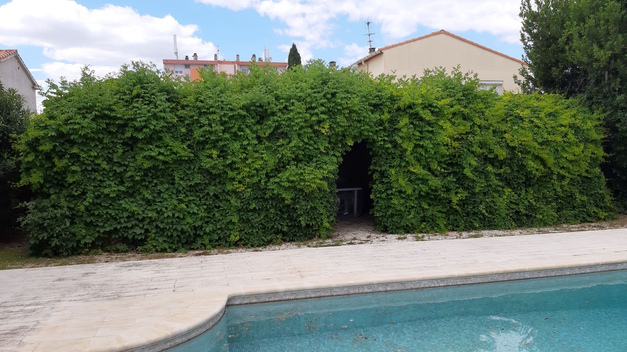 Photo of Outdoor in Lunel