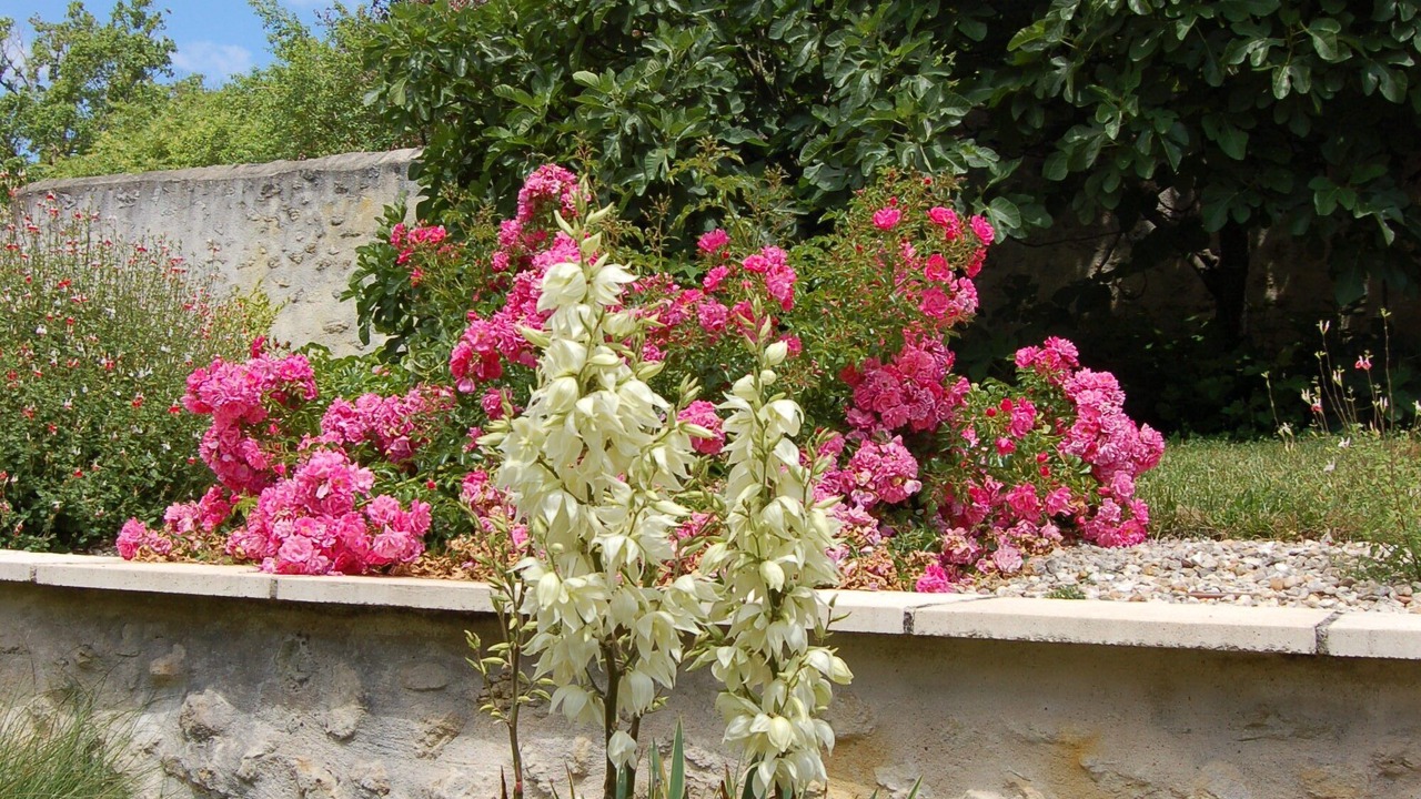 Photo of Outdoor in La Croix-en-Touraine