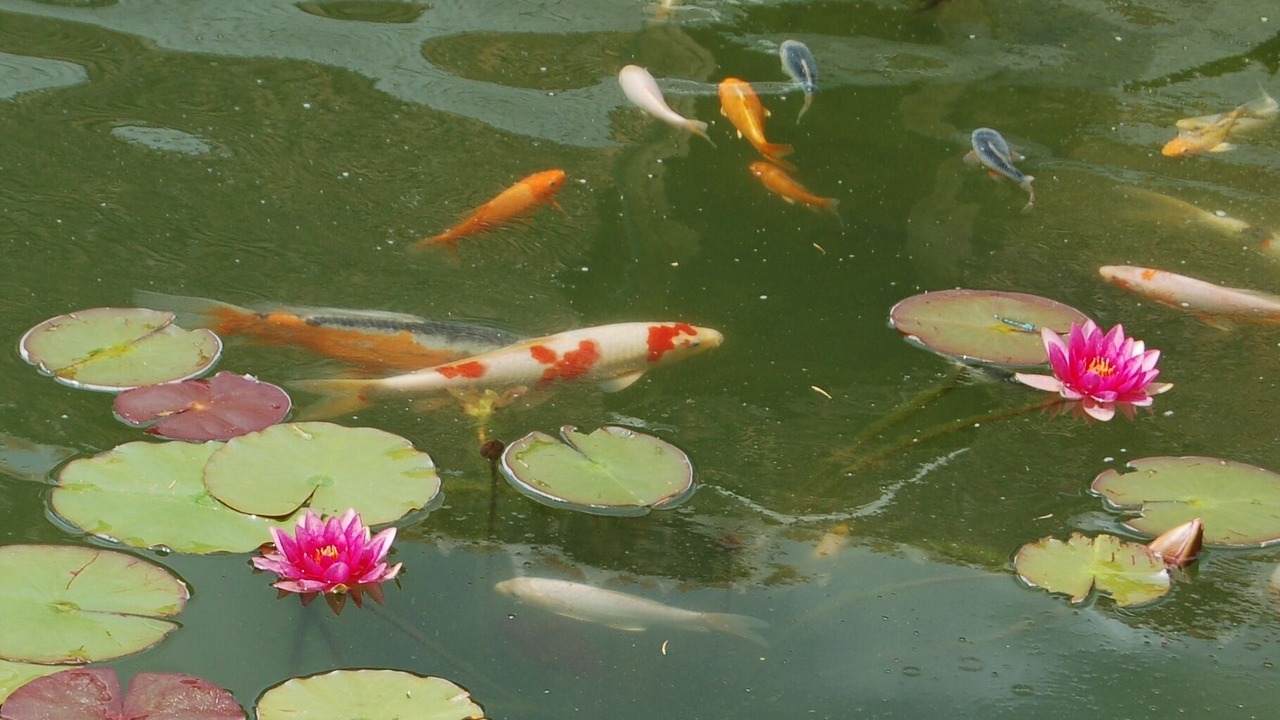 Photo of Outdoor in La Croix-en-Touraine