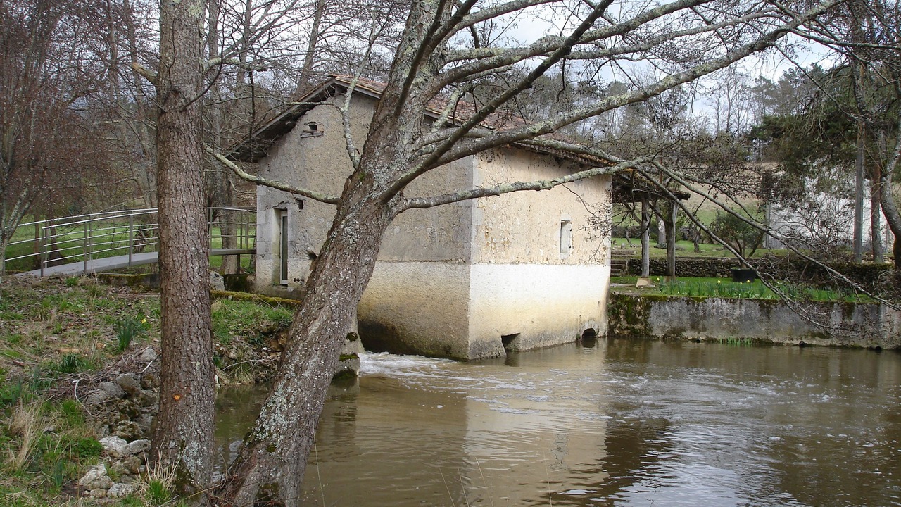 Photo of Others in Saint-Pierre-du-Palais