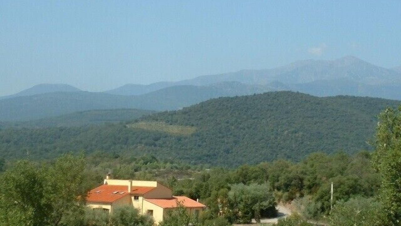 Photo of Others in Ceret