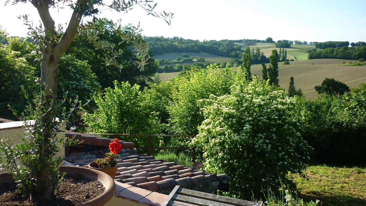 Photo of Outdoor in Saint-Orens-Pouy-Petit