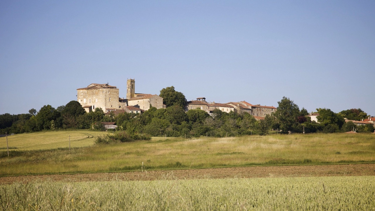 Photo of Others in Saint-Orens-Pouy-Petit