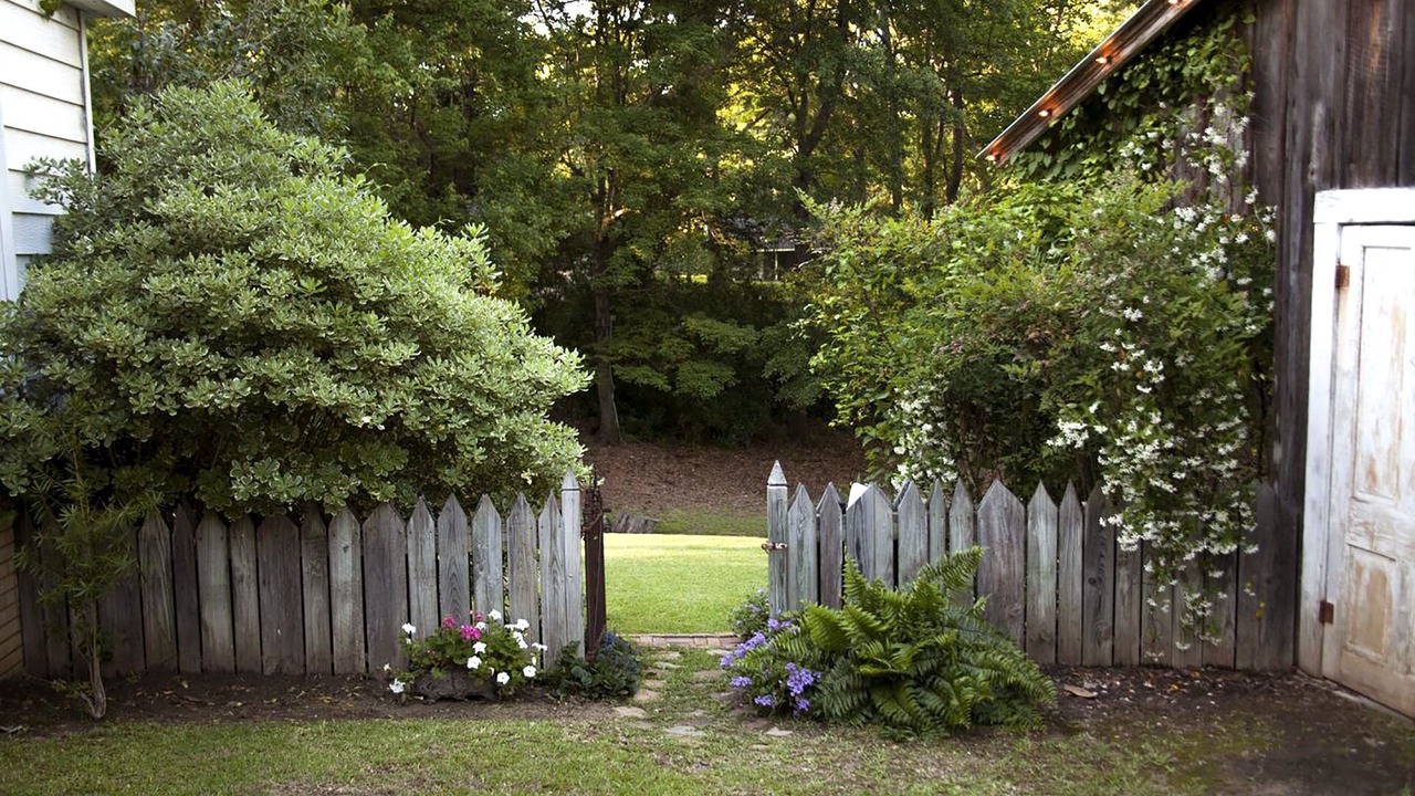 Photo of Outdoor in Ruston