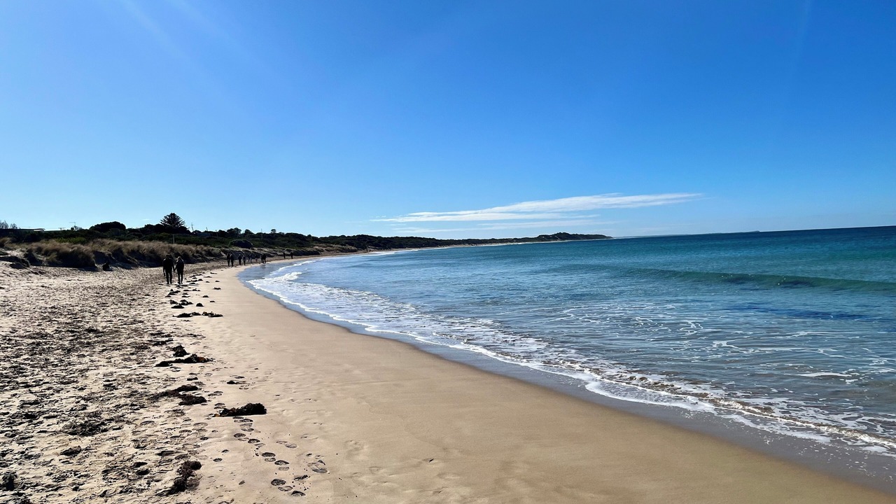 Photo of Others in Torquay