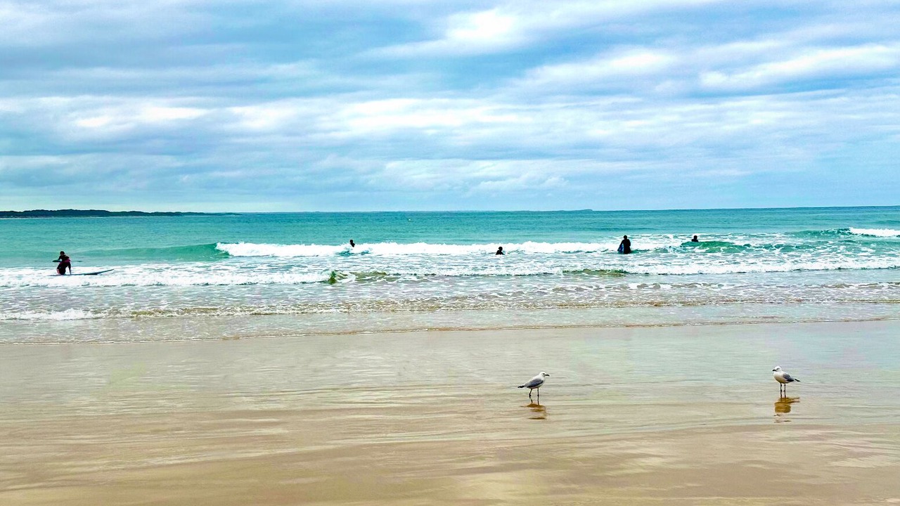 Photo of Others in Torquay