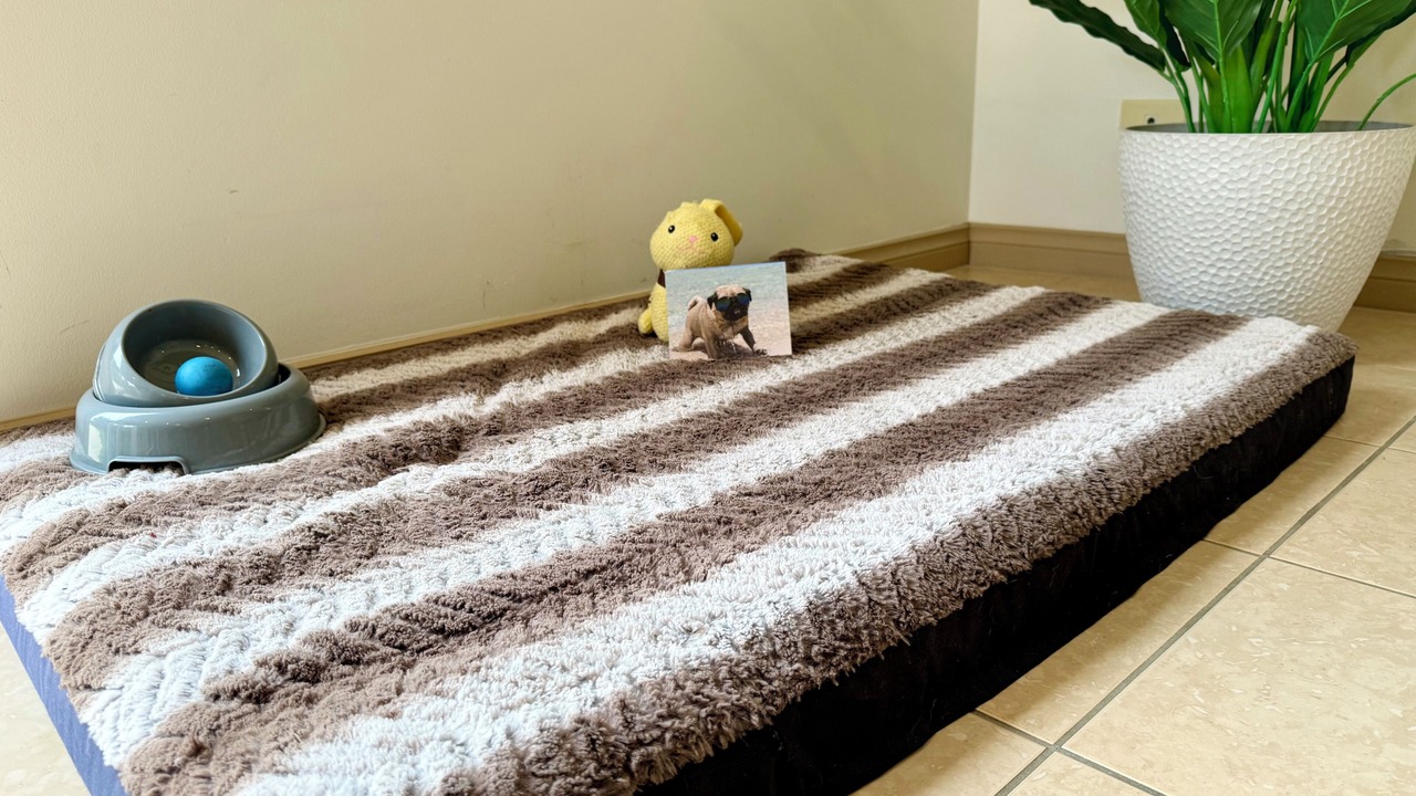 Photo of Bedroom in Torquay