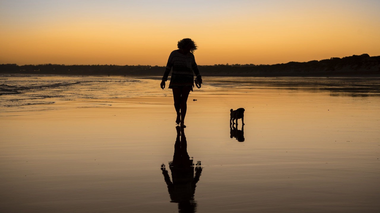 Photo of Others in Torquay