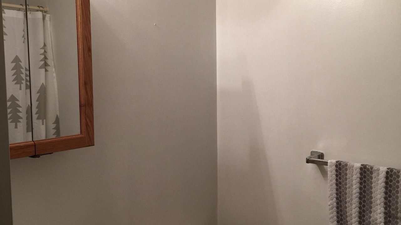 Photo of Bathroom in Indian River