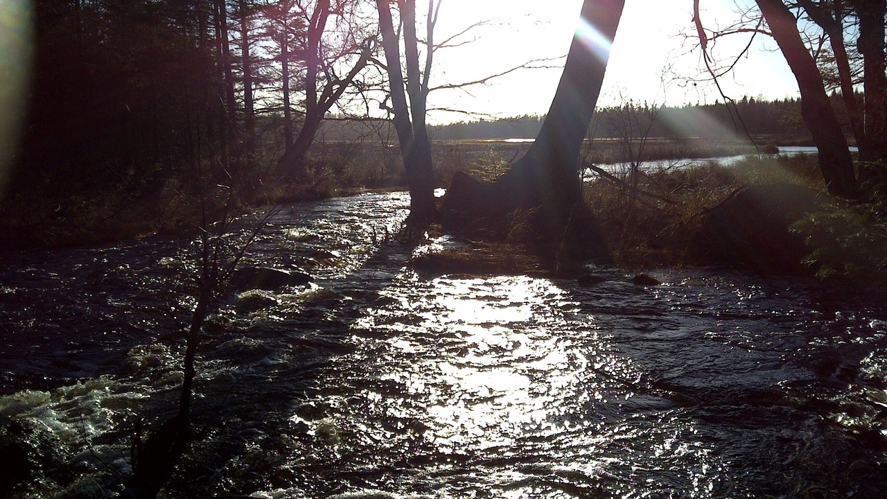 Photo of Outdoor in Newport Landing