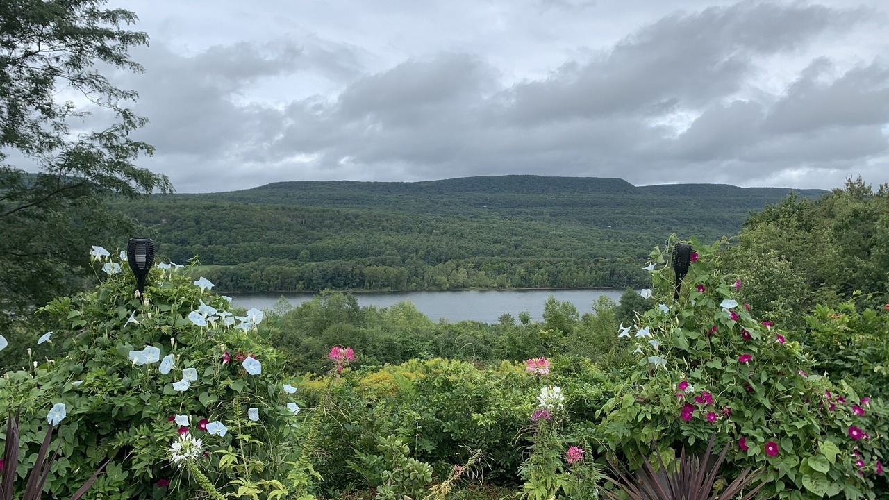 Photo of Outdoor in Town of New Scotland