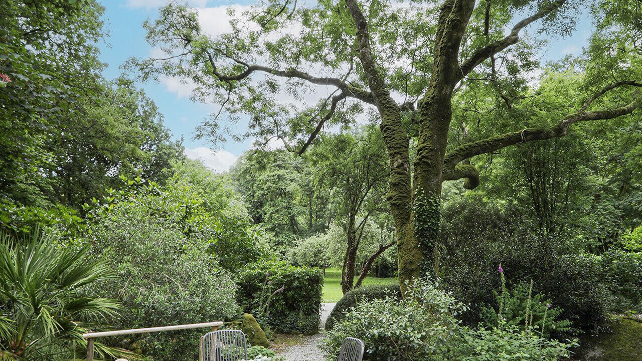 Photo of Others in Boscundle