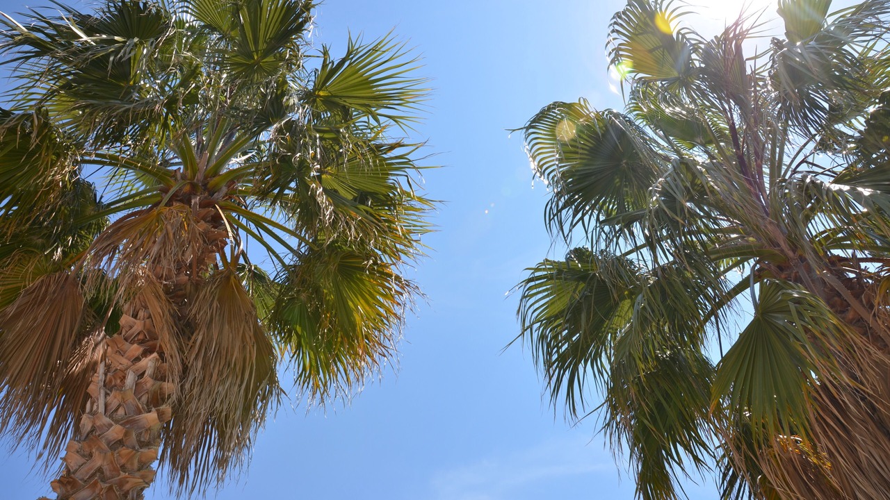 Photo of Outdoor in Perols