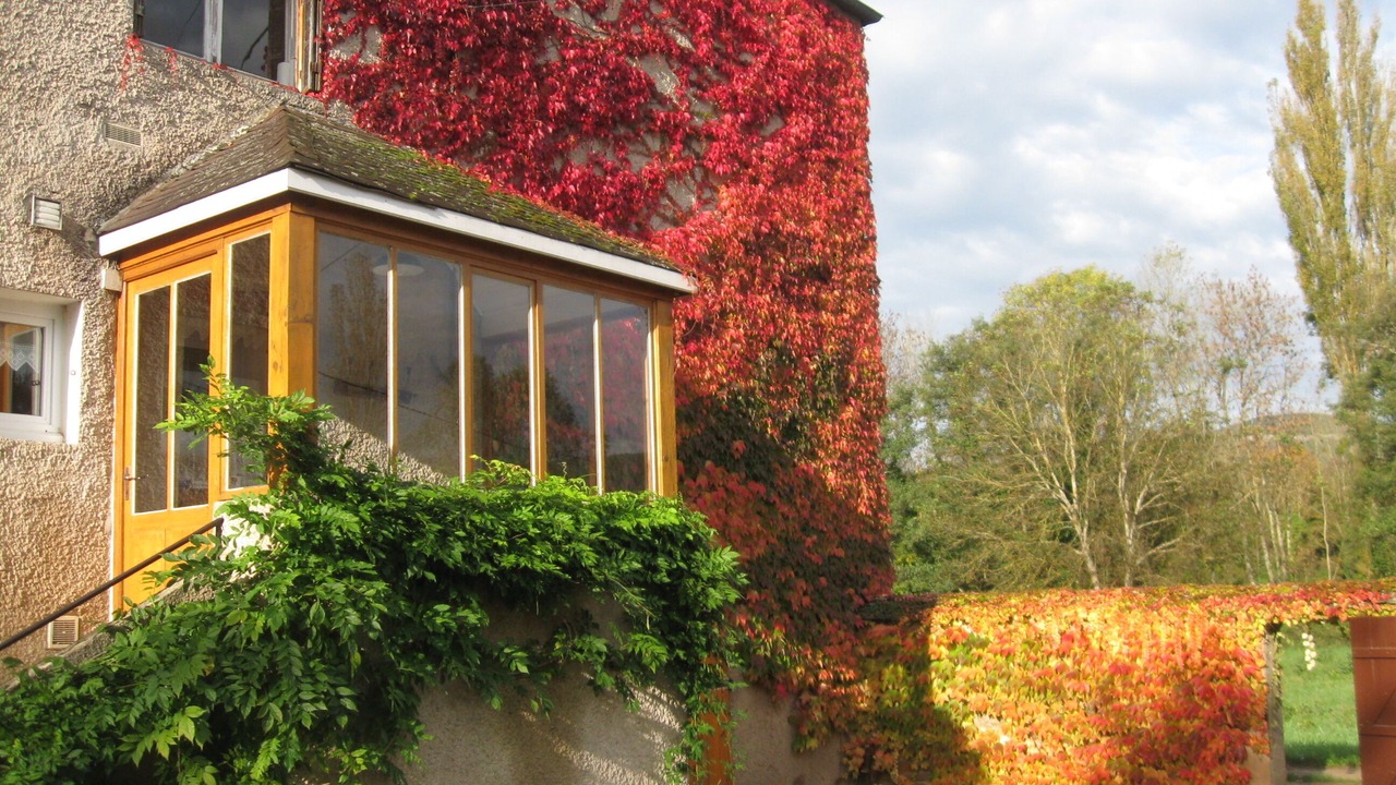 Photo of Outdoor in Santenay