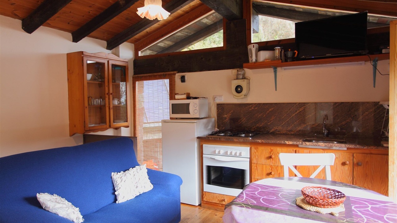 Photo of Livingroom in Riudaura