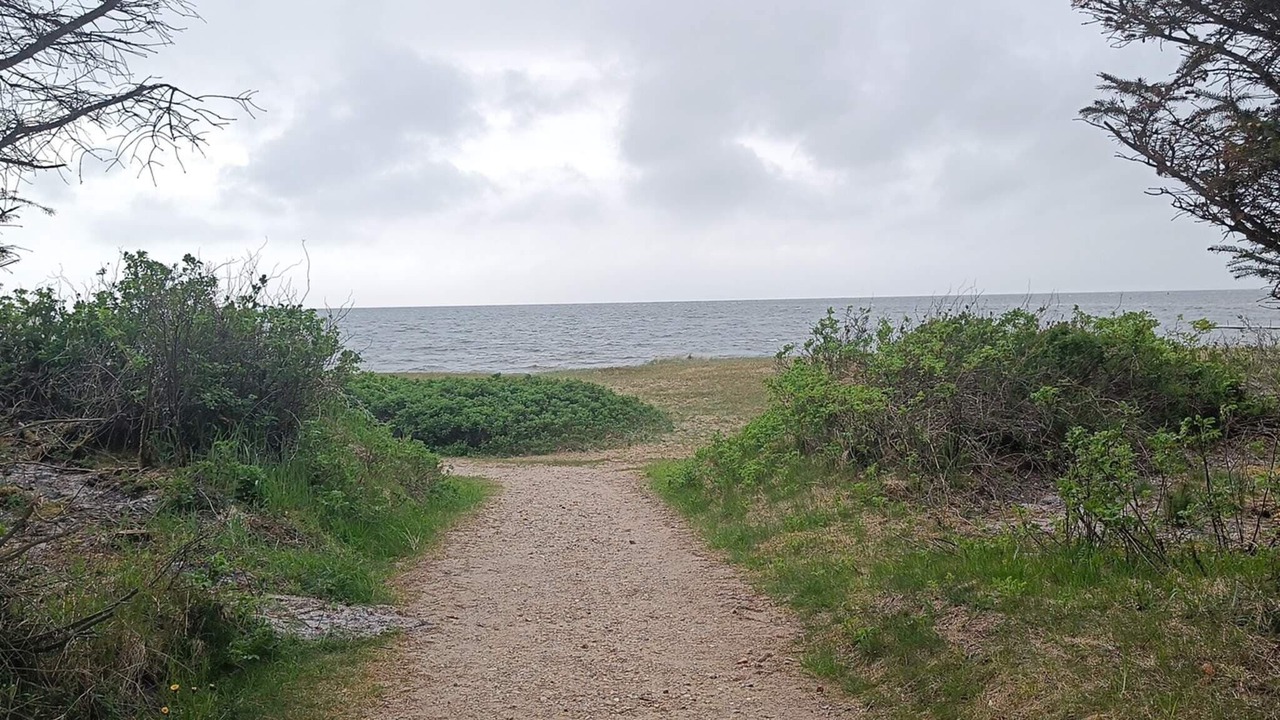 Photo of Others in Skaven Strand