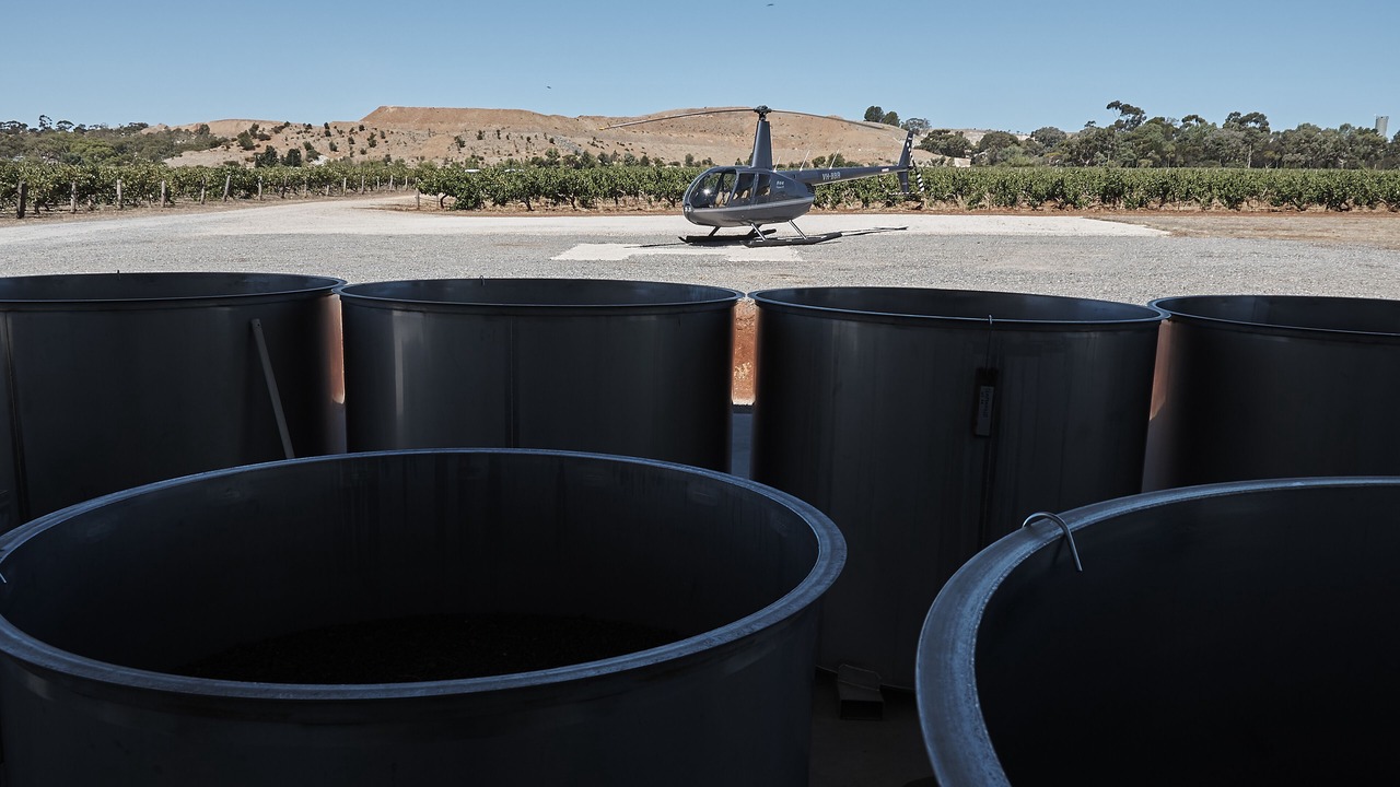 Photo of Others in Light Pass