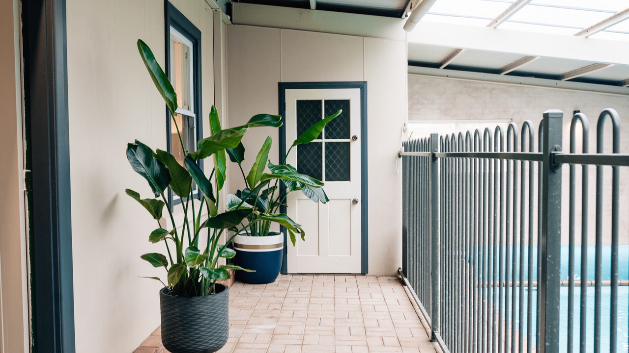 Photo of Outdoor in Light Pass