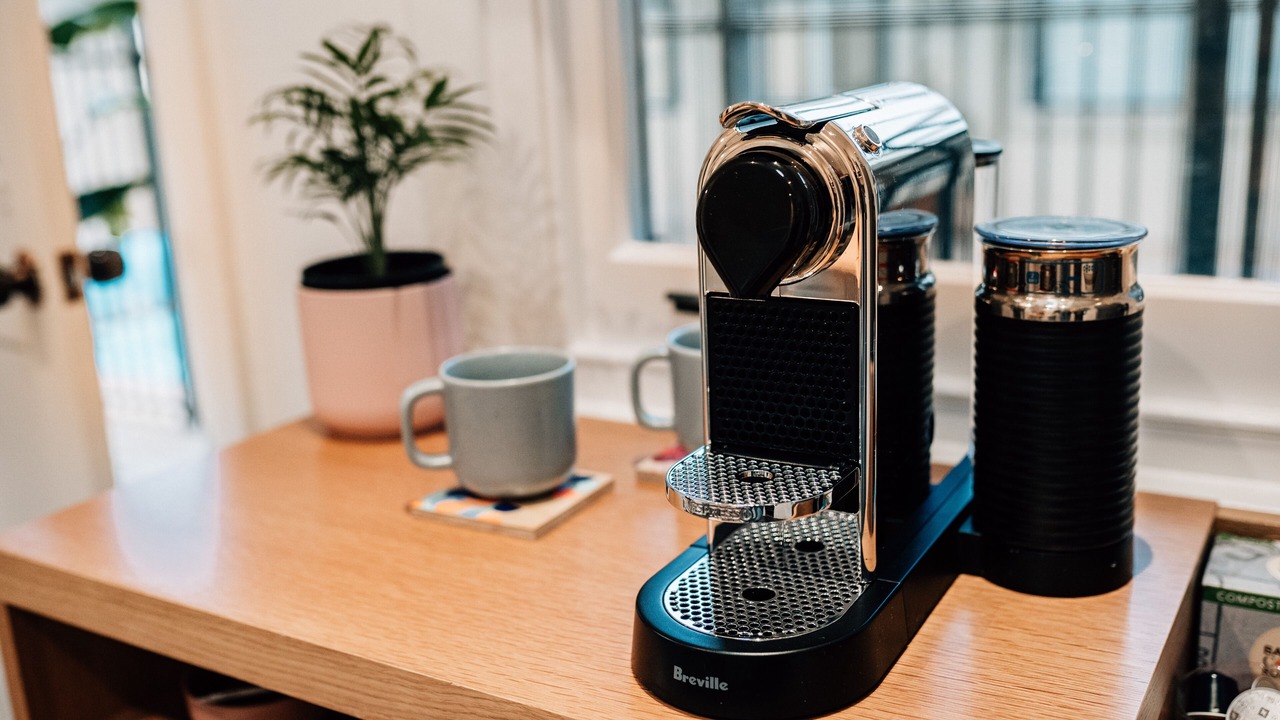 Photo of Others in Light Pass