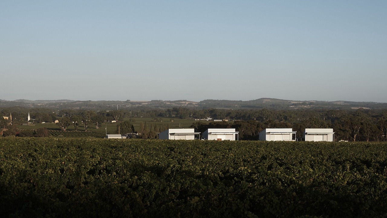 Photo of Others in Light Pass