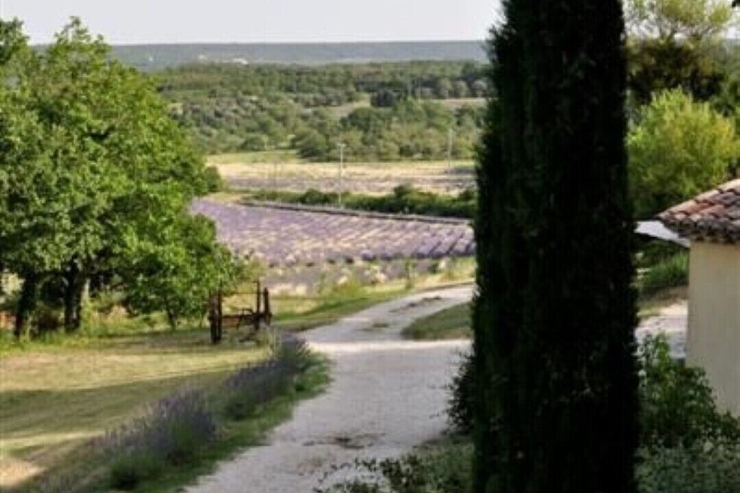 Photo of Outdoor in Reauville