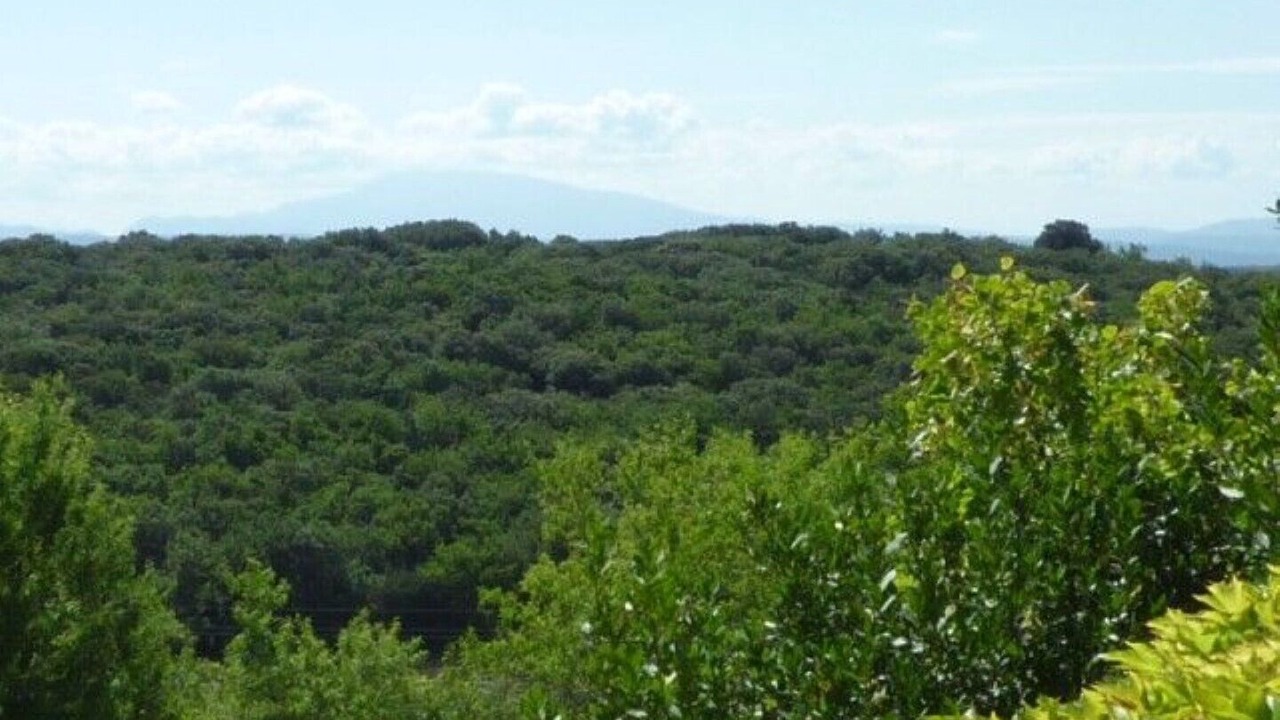 Photo of Others in Reauville