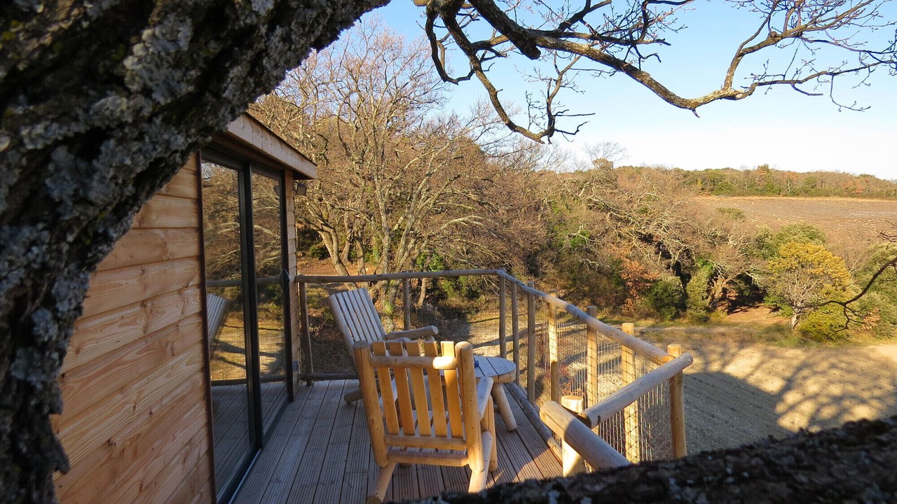 Photo of Outdoor in Reauville