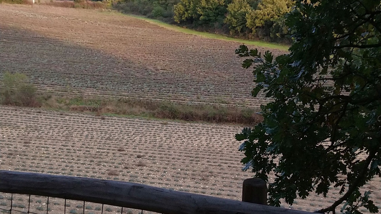 Photo of Outdoor in Reauville