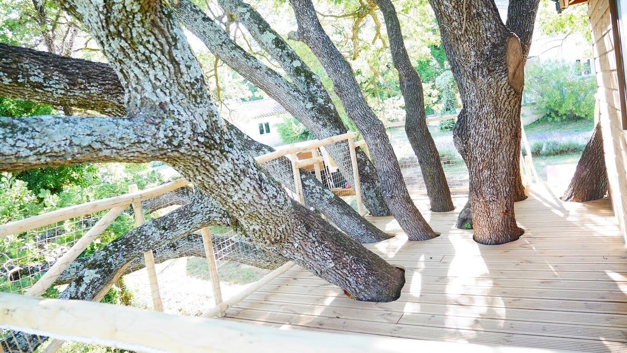 Photo of Outdoor in Reauville