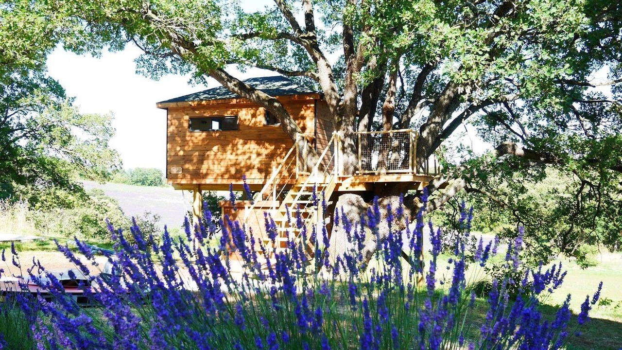 Photo of Outdoor in Reauville