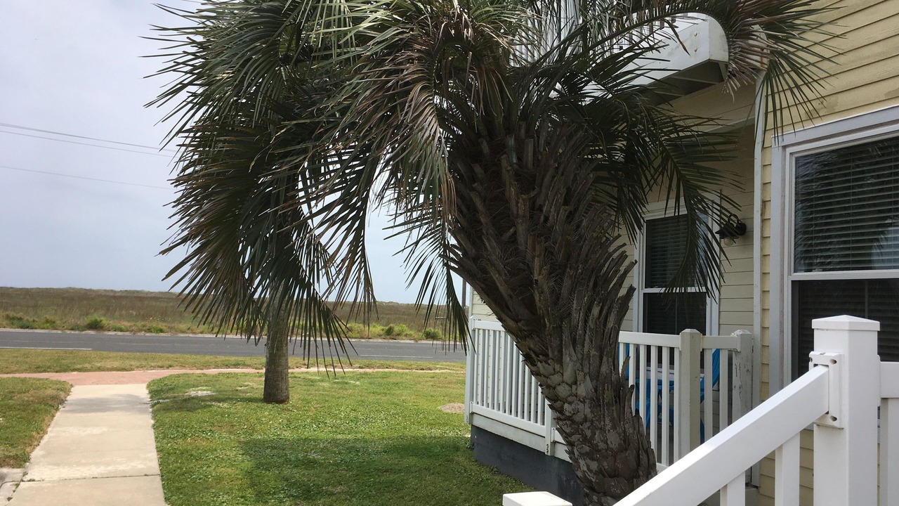 Photo of Others in Corpus Christi