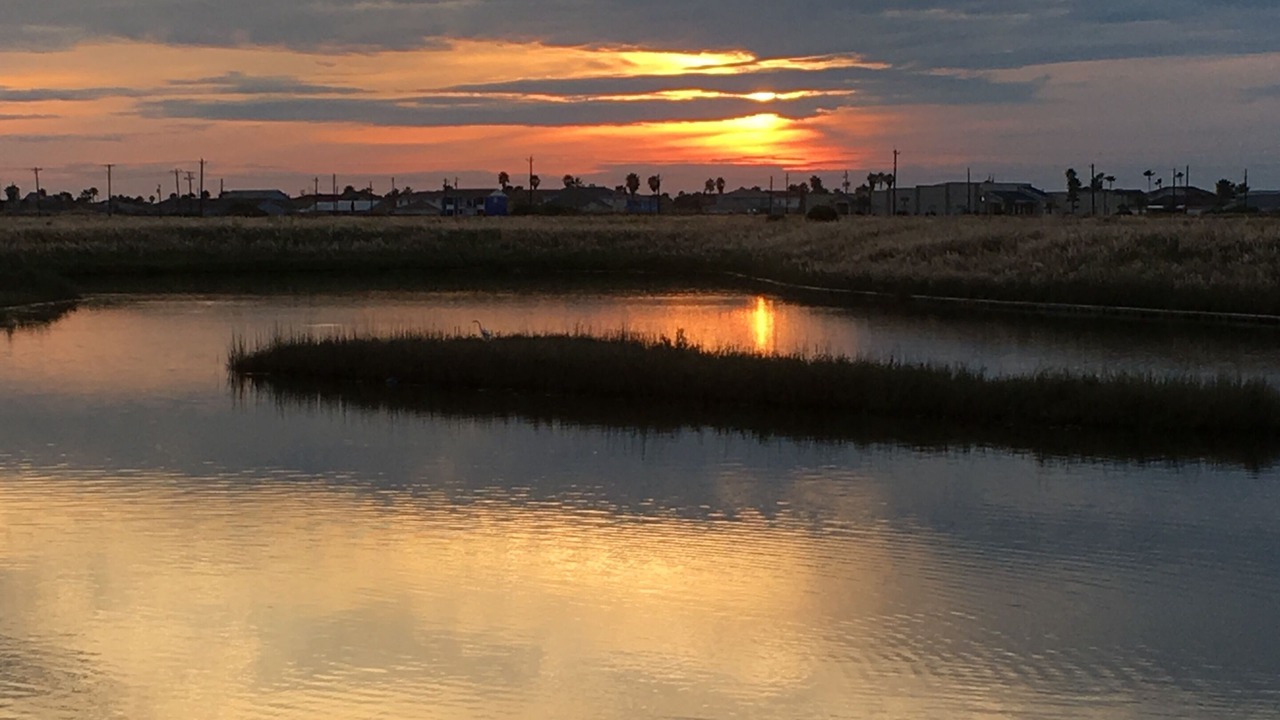 Photo of Others in Corpus Christi