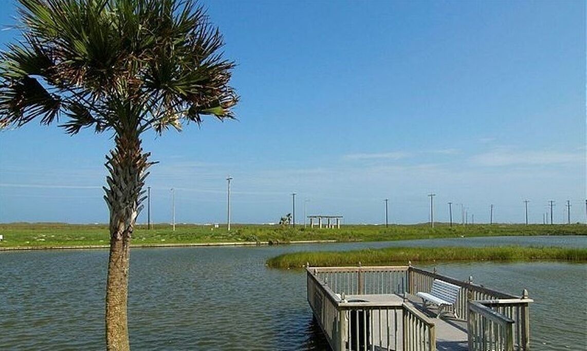 Photo of Others in Corpus Christi