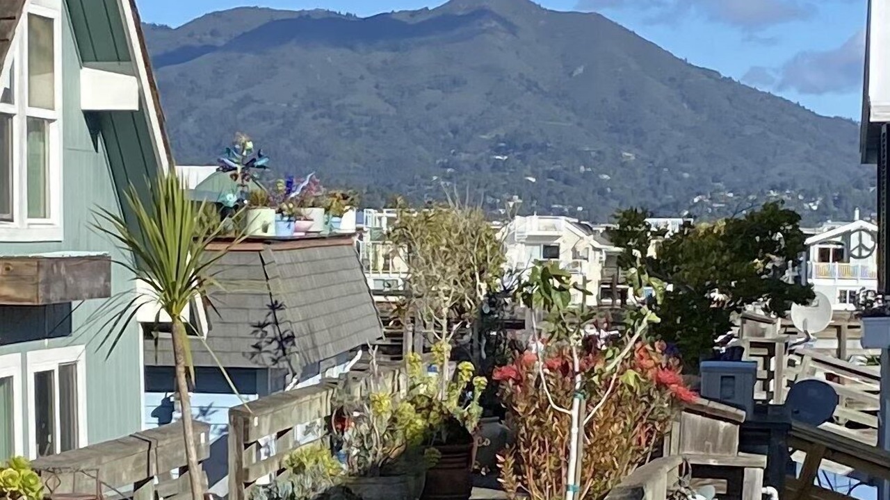 Photo of Others in Marin City