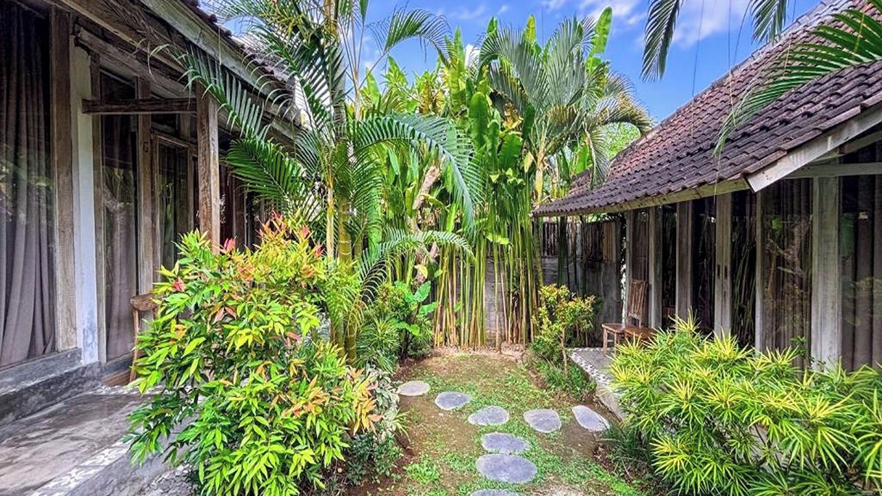 Photo of Outdoor in Munggu