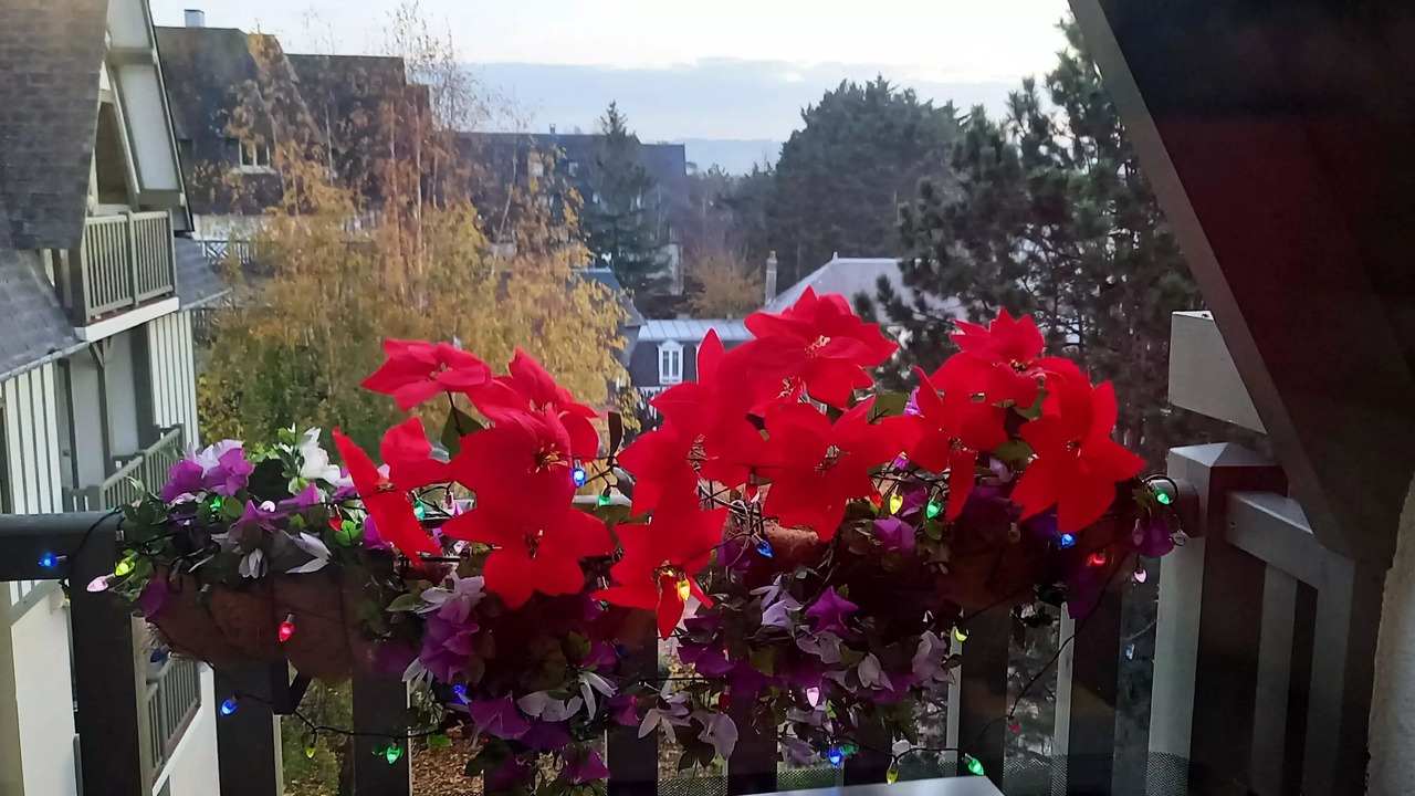 Photo of Outdoor in Deauville City Centre