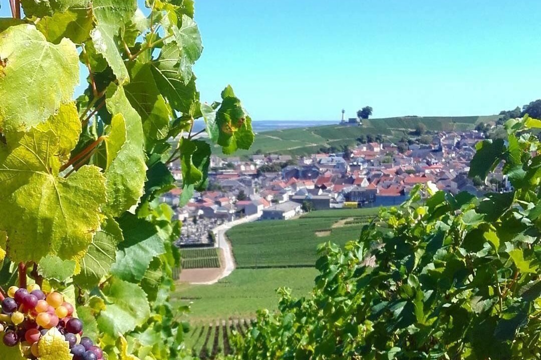 Photo of Others in Hincmar